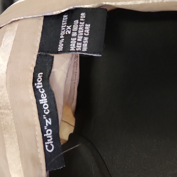 Long, Sheer Beige Blouse - Picture 4 of 4